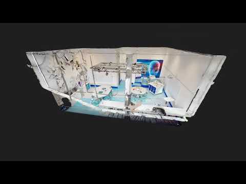 Virtual Twin 3D scan
