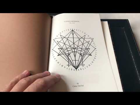 Codex Aversum by Caine Del Sol. Devotee edition published by Aeon Sophia Press.