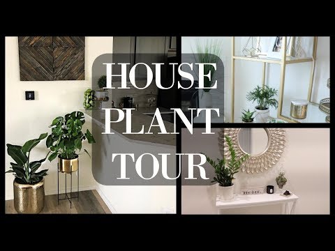 House Plant Tour | Indoor Plants 2018❤️