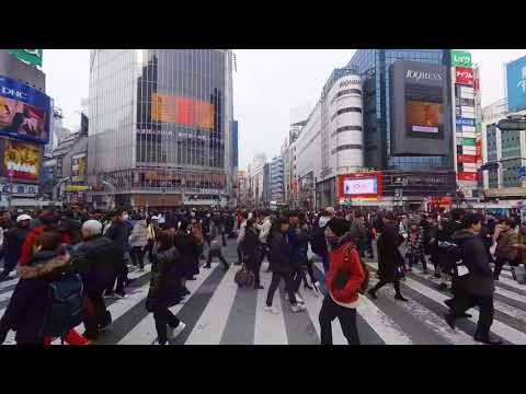 Welcome to Tokyo! Visit the Busiest Intersection in the World - VR 180 3D Experience