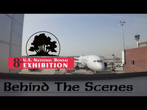 SNEAK PREVIEW - THE 8th NATIONAL BONSAI EXHIBITION, USA
