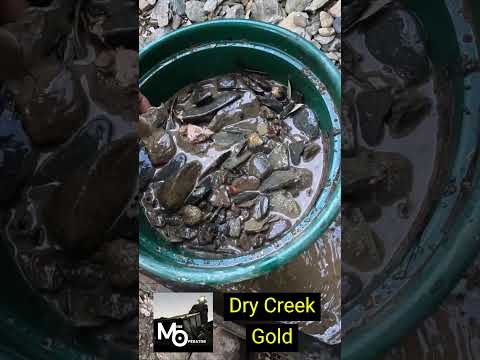 Dry Creek in the Mother Lode #goldprospecting #motherlode
