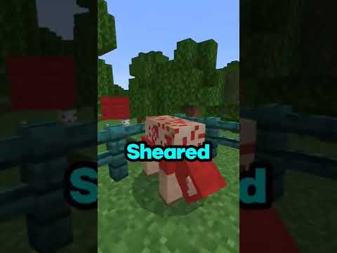 These Minecraft Bedrock tips are EXCLUSIVE...