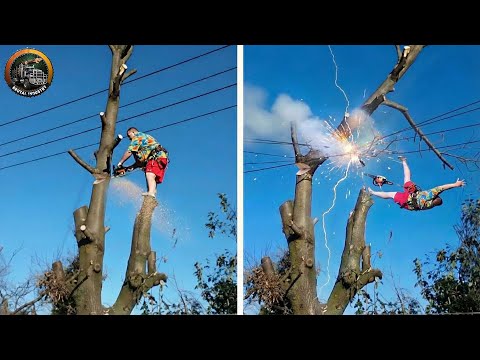 Idiots With Chainsaws: Tree Cutting Fails | Extreme Dangerous Logging Truck Fails #2