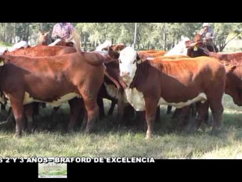 EL ROCIO DE COPRA REMATA EL 18 DE AGOSTO 2017 B