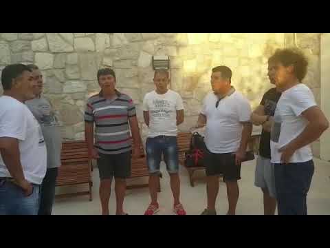 Klapa Zagora- Vilo dvi jabuke