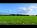 Secret Garden - Greenwaves