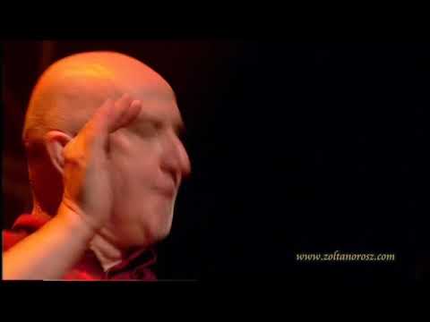 10  Orosz Zoltan and his Friends   Balkan tune   2011   www zoltanorosz com