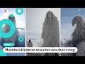 Is de opium bird of erosion bird echt?