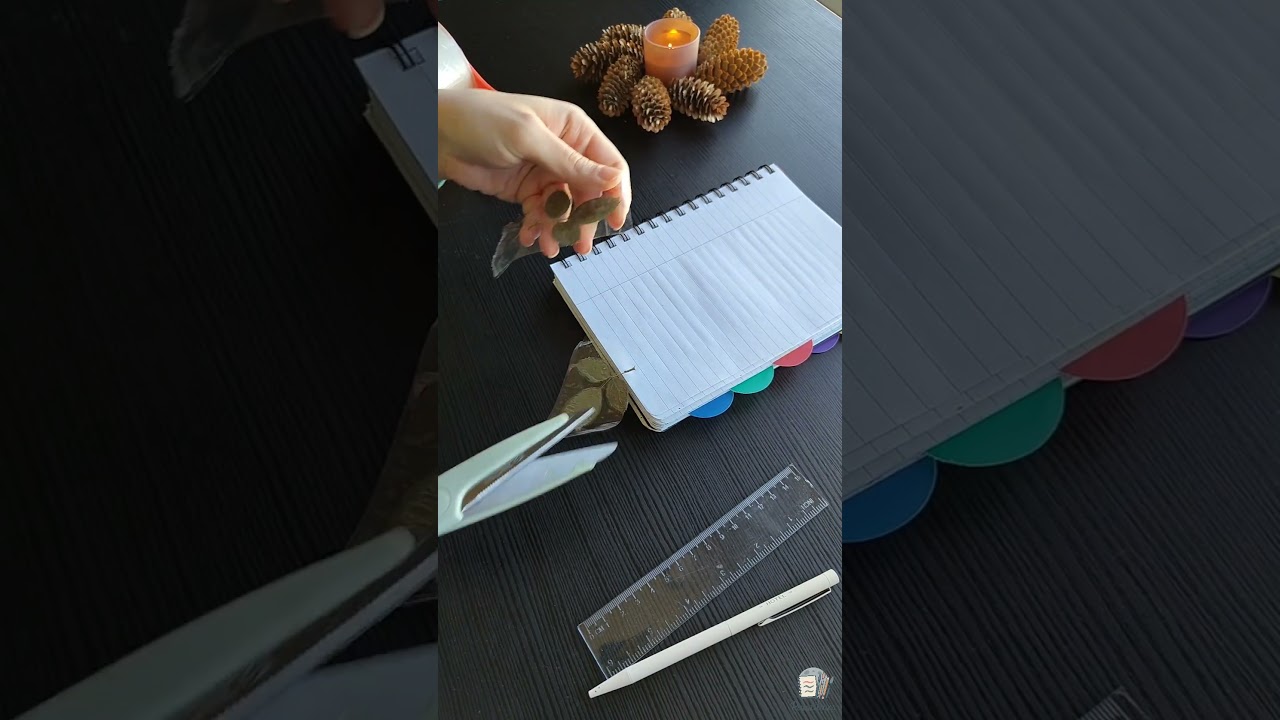 Creative Autumn Notebook Design with Real Leaves 🍃 | Easy Front Page Idea | No Drawing Needed! 🎨