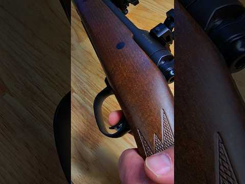 NEW RIFLE is Cheap, Lightweight, AND shoots Half Inch Groups...[Savage 110 Trail Hunter Lite]