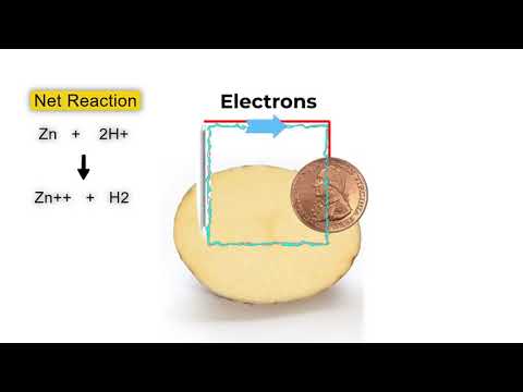 Science Explained: Potato Battery