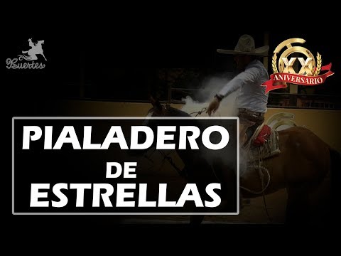Pialadero de Estrellas XX Millonario THV 2017
