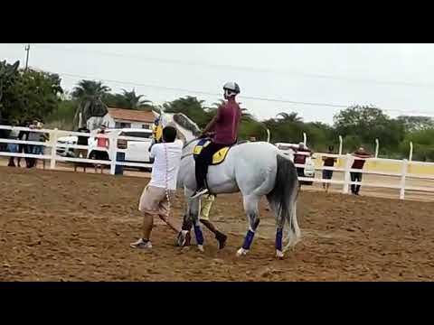 DICKY BRUMMEL A FERA!