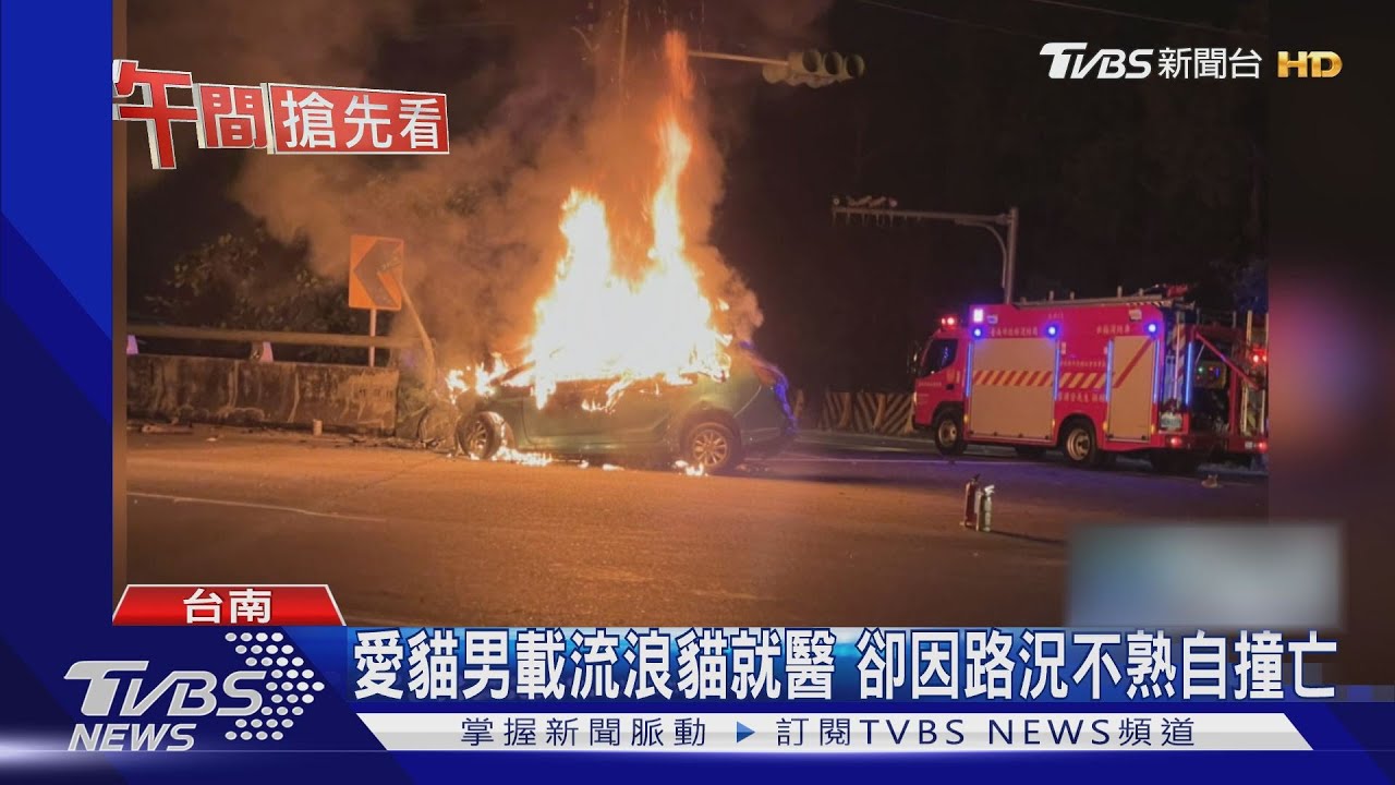 為了救貓!男載流浪貓就醫 卻自撞燒成焦屍