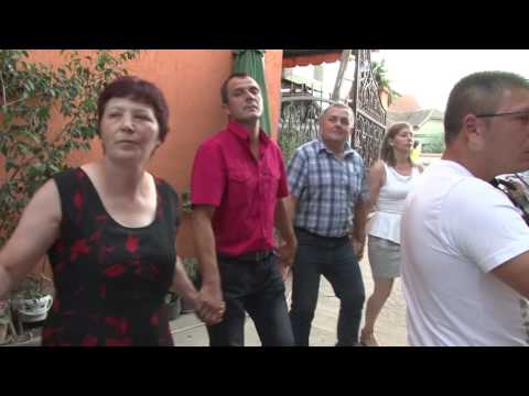 Acino punoletstvo 26.07.2015. II deo // Organizator veselja ''Vinulovic'' Mustapic 0638485594