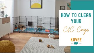 How to Clean a C&C Cage for Guinea Pigs Effortlessly