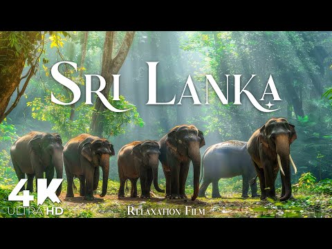 Sri Lanka 4K • Peaceful Nature Relaxation Film with Deep Calming Music | 4K Ultra HD
