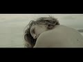 Vijay & Sofia Zlatko (ft. Tania Zygar) - Wildest Dreams [Exclusive Video]