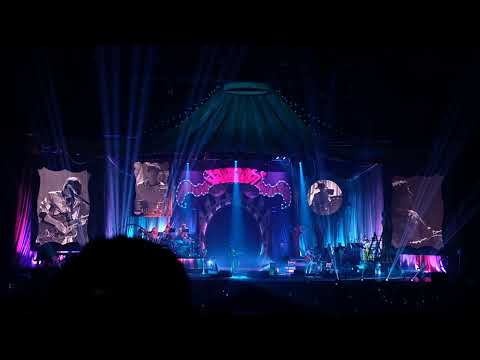 DOLMARO + 거울 - 잔나비 jannabi (190901 Fantastic old-fashioned returns) @k-mola