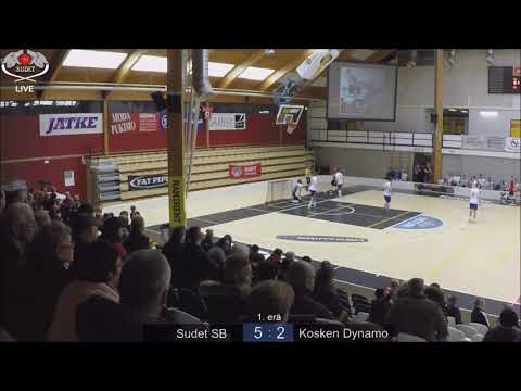 Maalikooste Sudet Dynamo