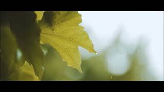 Johnny Bristol It Don't Hurt No More