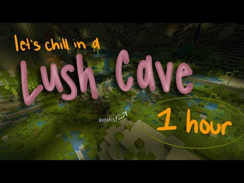 Let's chill in a lush cave with Minecraft music! | 1 hour | No talking