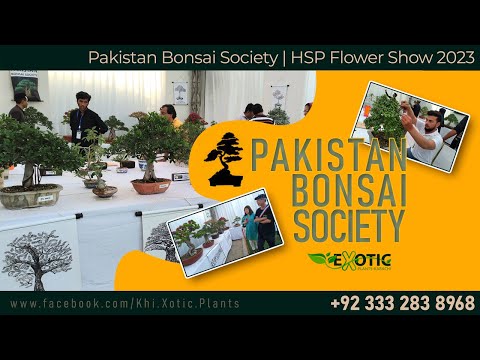 Pakistan Bonsai Society | HSP Annual Flower Show 2023