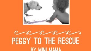 Peggy to the Rescue - Mini Mama aka Terra Jole' adventures in Dog Rescuing