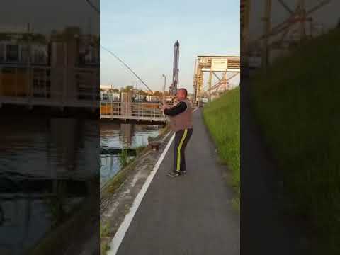 Bucov 5+ kg. na Ultra Lak pribor - Alakaza-Injection