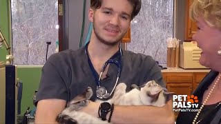 Kitten season is here