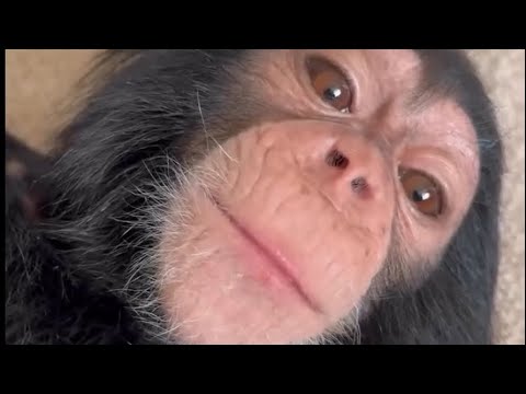 Emo McNasty and Being More Adult