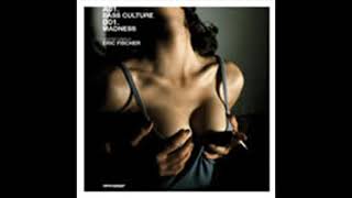 Eric Fischer - Bass Culture (Eric Fischer & Karl Moestl)