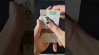 Wingspan Fan-Designed pack opening: Birds of the USA #stonemaiergames #wingspan #boardgames