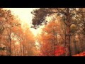 As Autumn Falls - Curtis Macdonald -Chill/New Age/Downtempo Music