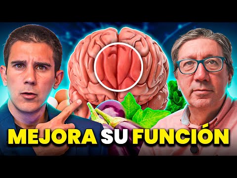 José Miguel Ramos Fernández-1