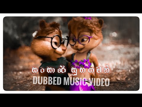 sansare suba gaman alvin |  sare suba gaman chipmak remix   |  sansare suba gaman alvin version