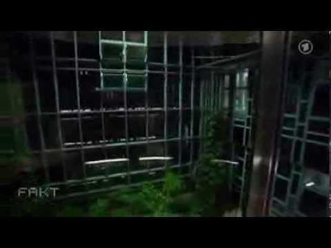 BND und NSA Zusammenarbeit