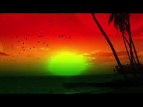 Selena - Como La Flor - DJ PolyRasta Reggae RemixXx