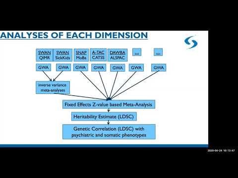 Updates from the PGC-ADHD Working Group, hosted by Barbara Franke.