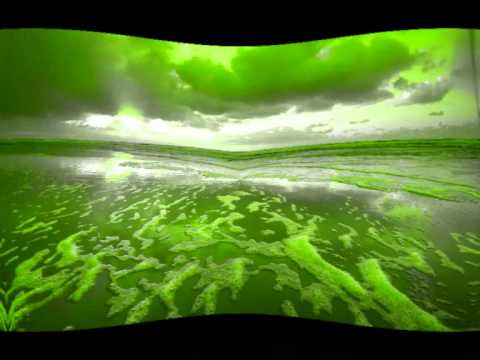 Matula feat R.Goldsound - 6 days byJMS.wmv