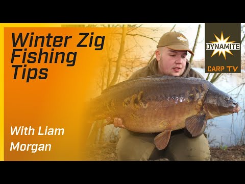 Carp Fishing - Winter Zig Fishing Tips