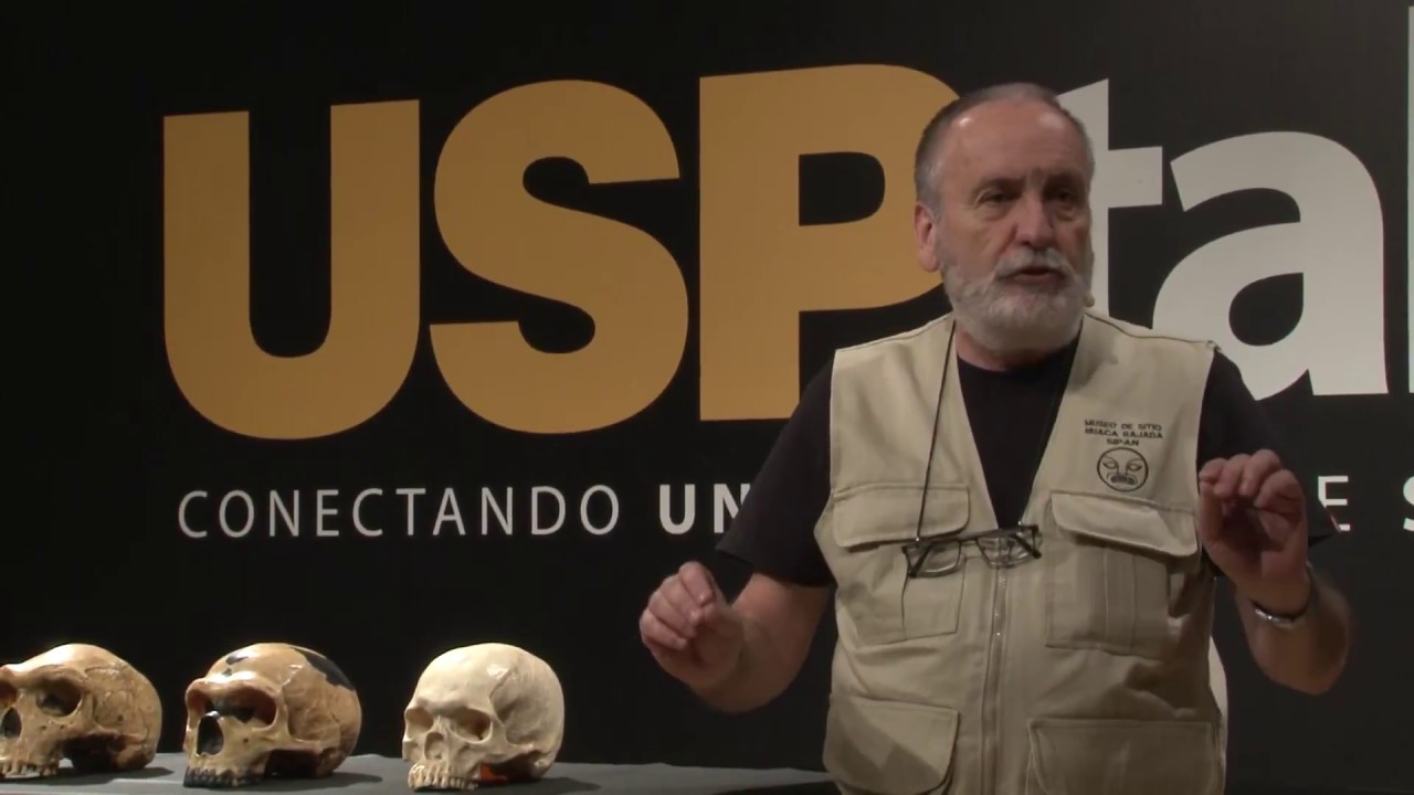 USP Talks #12: Evolução humana | Walter Neves