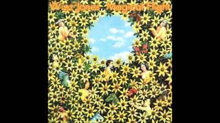 Wizz Jones - Old Fashioned Shotgun Wedding