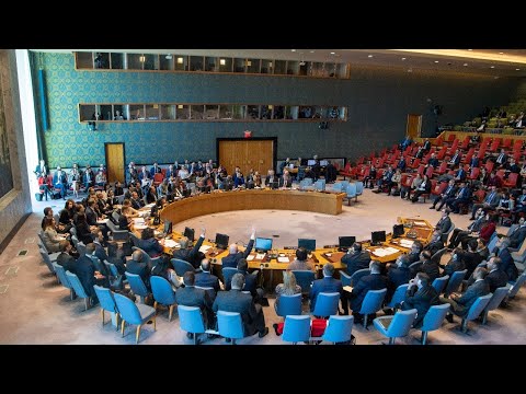 Security Council: Upholding the United Nations Charter (8699th meeting)