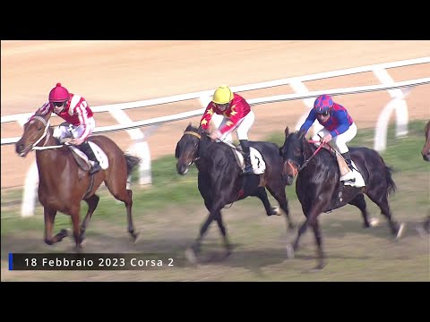 Galoppo corse 18 Febbraio 2023
