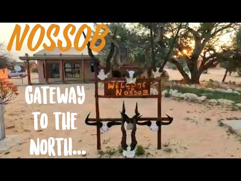 Kgalagadi Transfrontier National Park - Part 3