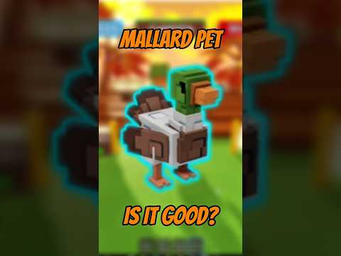 is MALLARD PET good? #growagarden #growagardenroblox #growagardentips #shorts