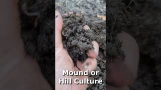 YES Using LOGS to FILL a raised garden bed WORKS