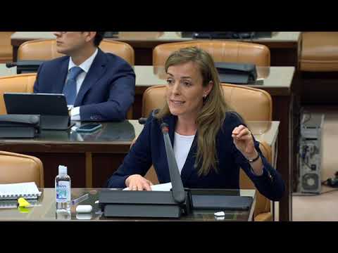 Carmen Navarro Lacoba en el Grupo de Trabajo Unión Europea